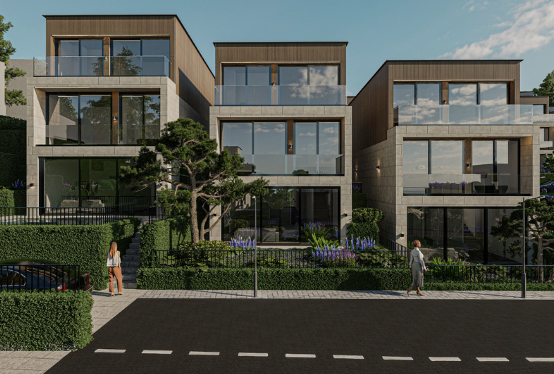 Description of future project 4