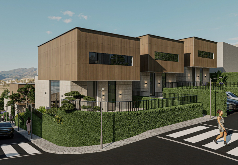 Description of future project 4